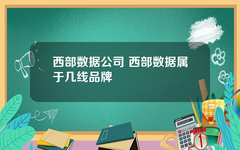 西部数据公司 西部数据属于几线品牌